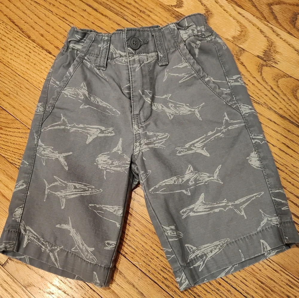 Gray Shark Print Shorts